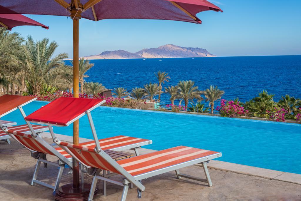 Grand Rotana & Resort 5*