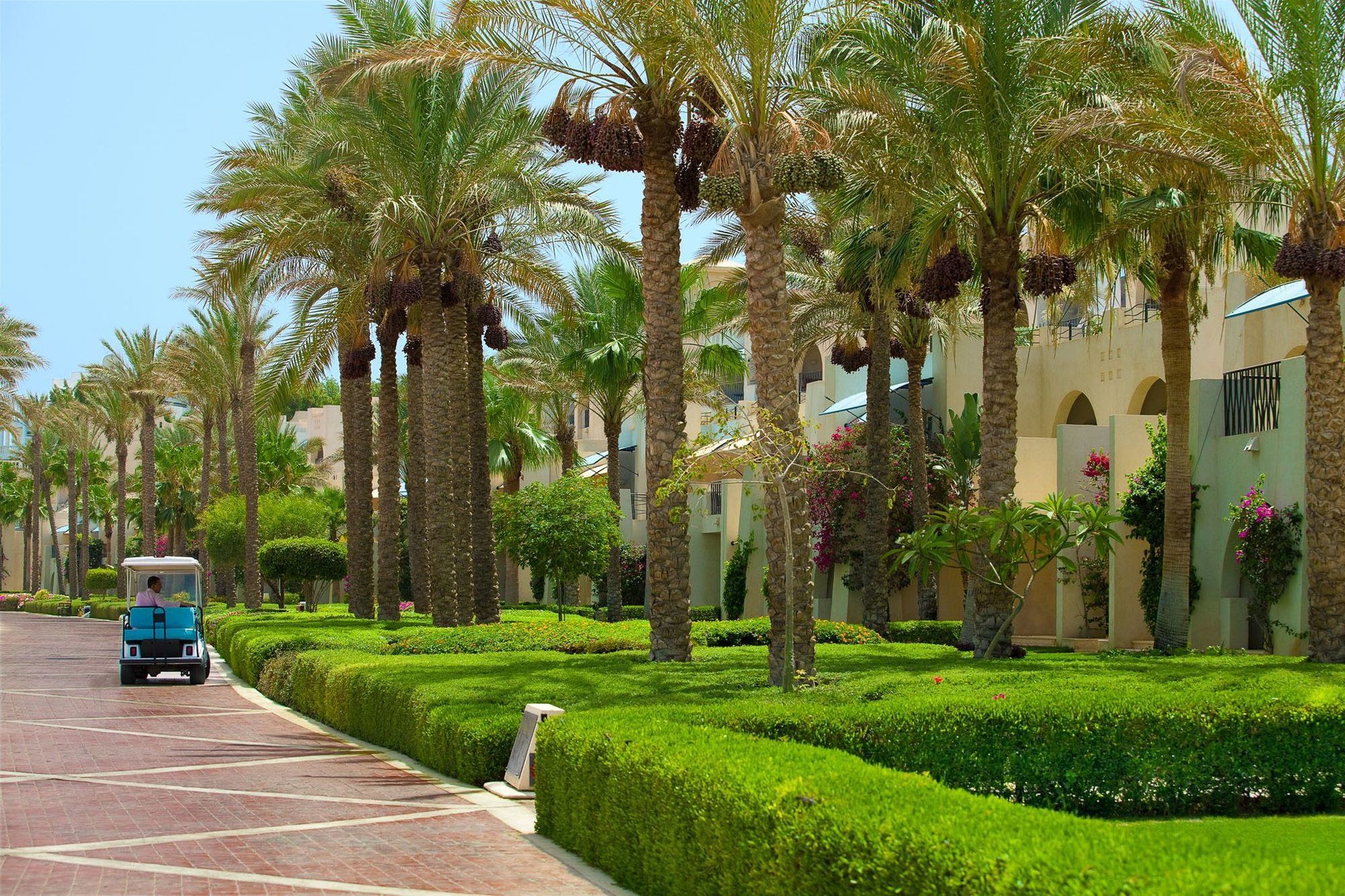Resort Grand Rotana & Sharm el-Sheikh