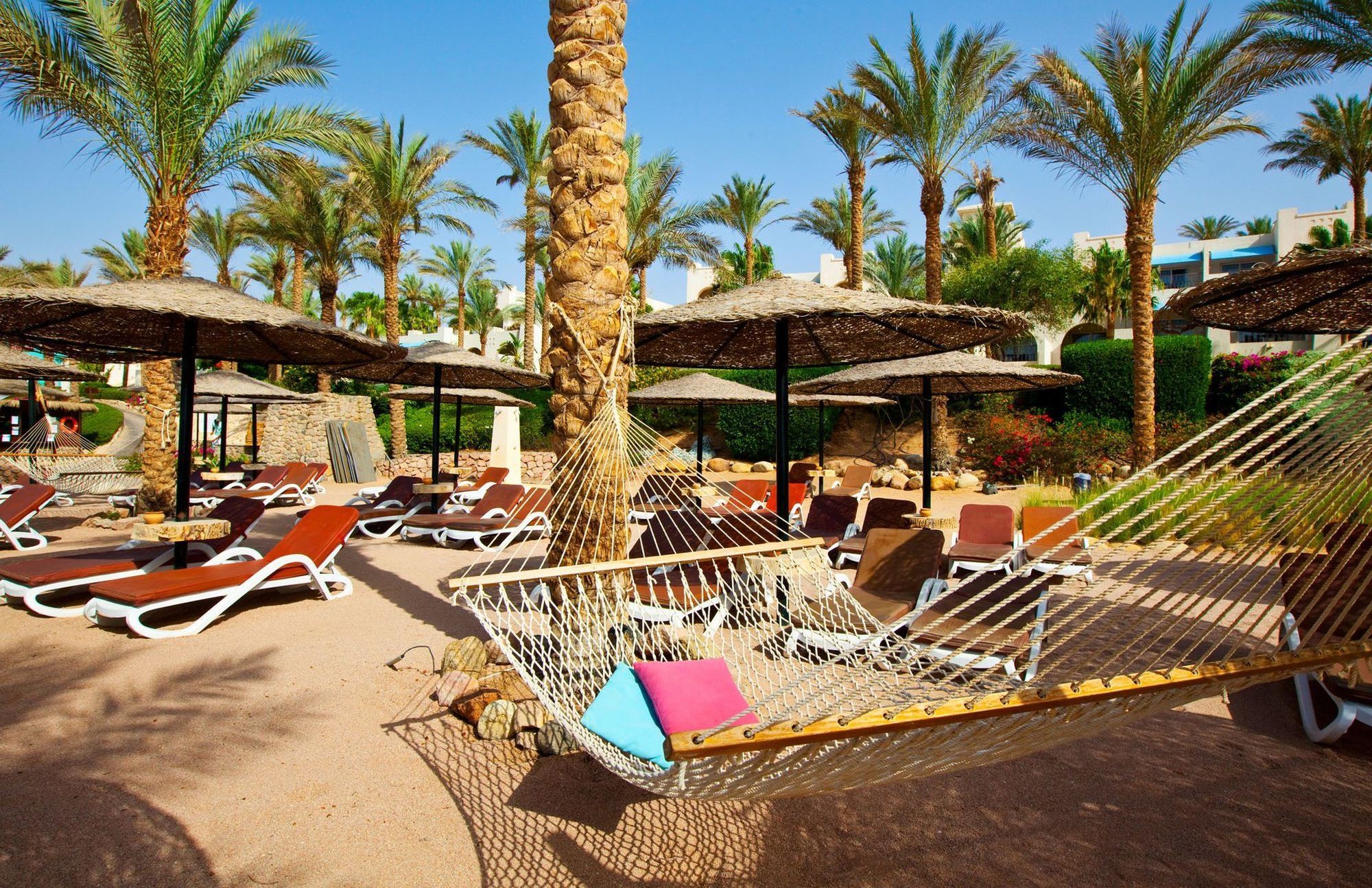Resort Grand Rotana & 5*